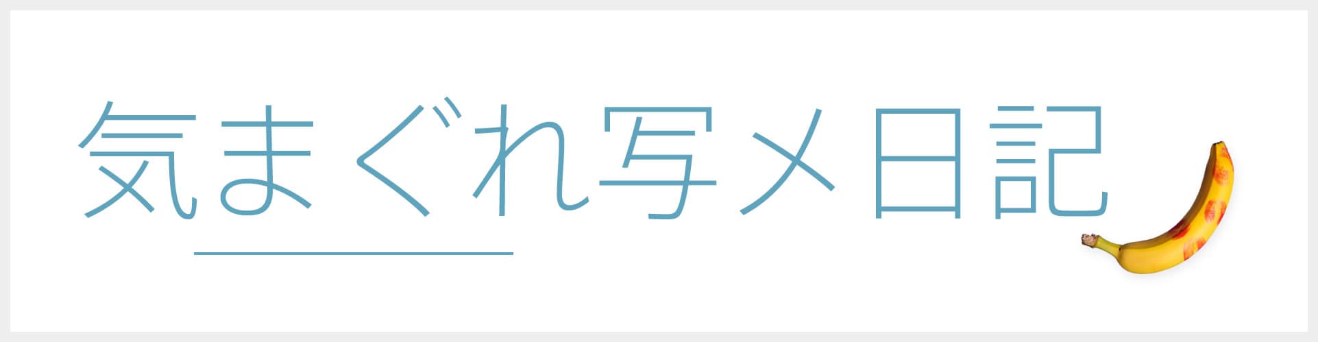 写メ日記