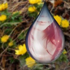 尽くしたい・・・