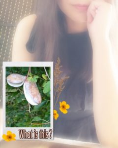 ご存知ですの？？？