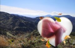 もう💦💦？！