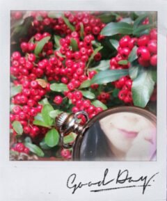 あと少し、、、