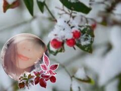 ❄weather forecast❄