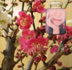 ✨お久しぶりです✨