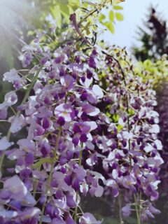 ついていけません💧