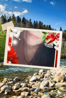 もう夏かしら💦