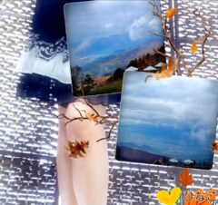 🌿欠かせません✨🌿